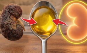 Qual Óleo É Bom Para os Rins? 4 Opções Que Podem Ajudar a Proteger Sua Saúde Renal