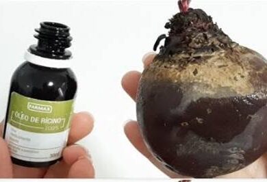 Óleo de Rícino com Beterraba para Queda Capilar: Receita Viral Funciona Mesmo?