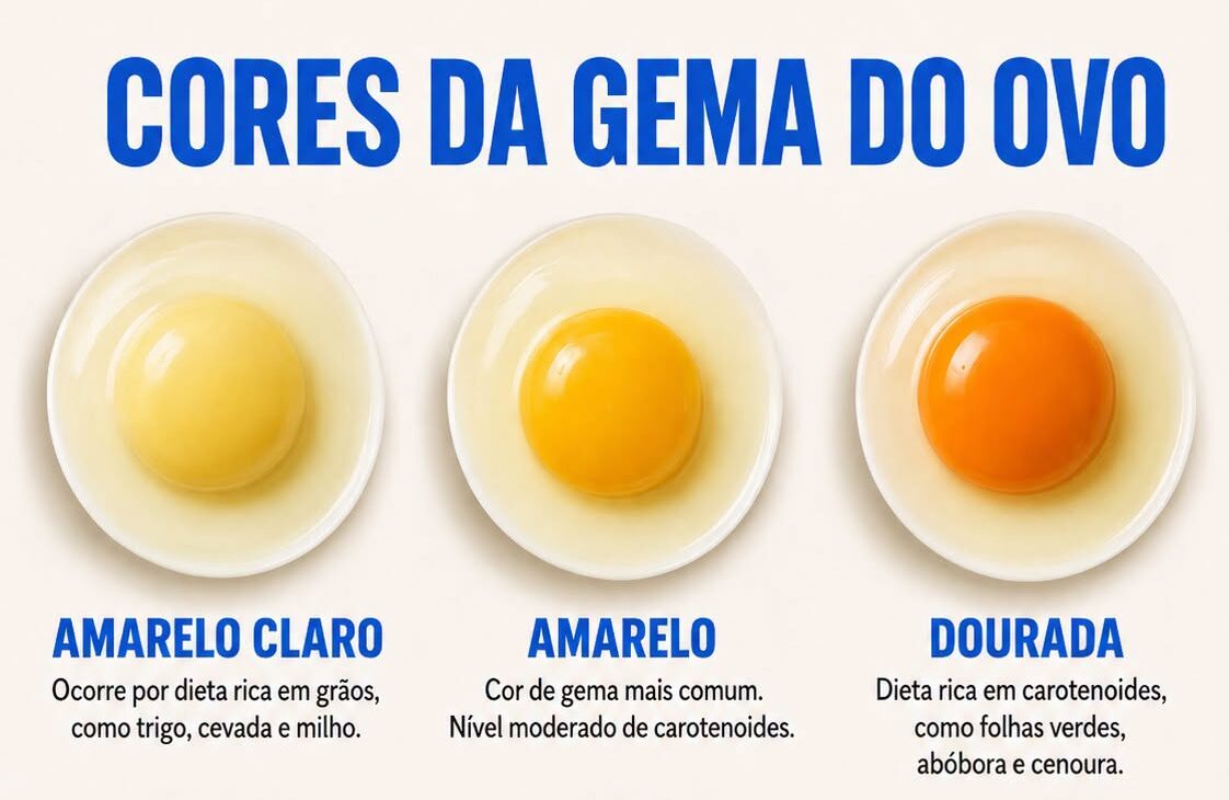 A Cor da Gema do Ovo Revela Algo Sobre a Saúde? Descubra a Verdade