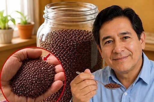 6 sementes que podem fortalecer sua alimentação e ajudar a proteger as células — veja como incluir na rotina