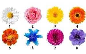 A Flor Que Você Escolher Revela Sua Personalidade? Descubra