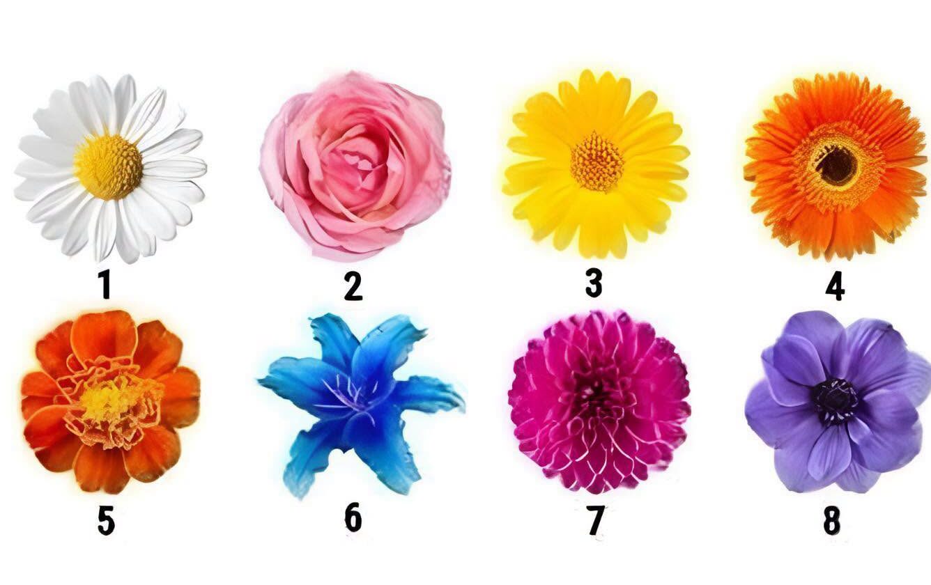 A Flor Que Você Escolher Revela Sua Personalidade? Descubra