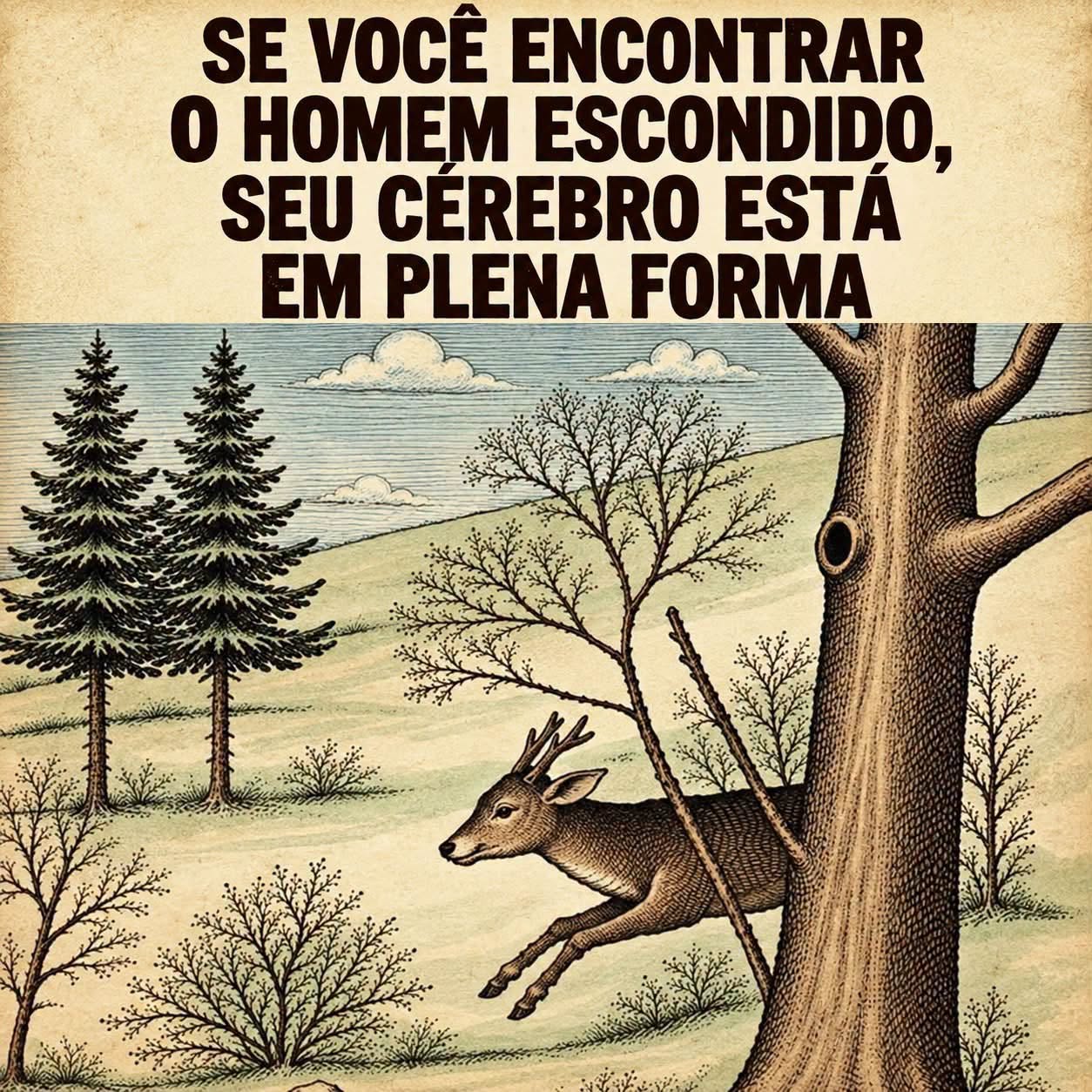 Ilusão de ótica: você consegue encontrar o rosto escondido nesta paisagem?