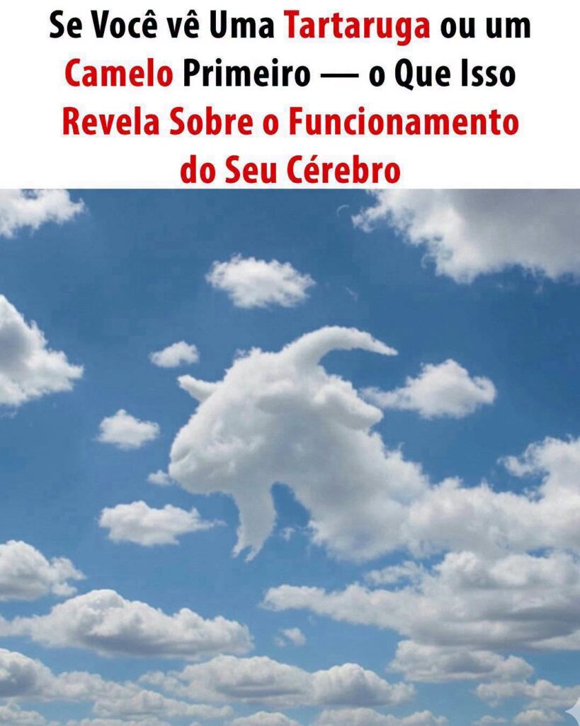 O que a primeira figura que você vê pode revelar sobre sua maneira de pensar?