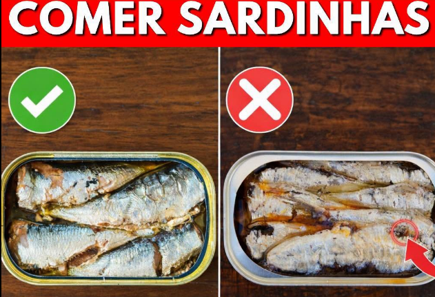 Antes de abrir outra lata de sardinha, veja o que esse alimento pode fazer no seu corpo