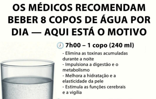 Aqui estão os motivos e os 8 horários ideais para beber 8 copos de água ao longo do dia