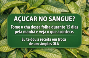 Folha de Goiaba: o chá simples que voltou a chamar atenção de quem quer controlar o açúcar no sangue