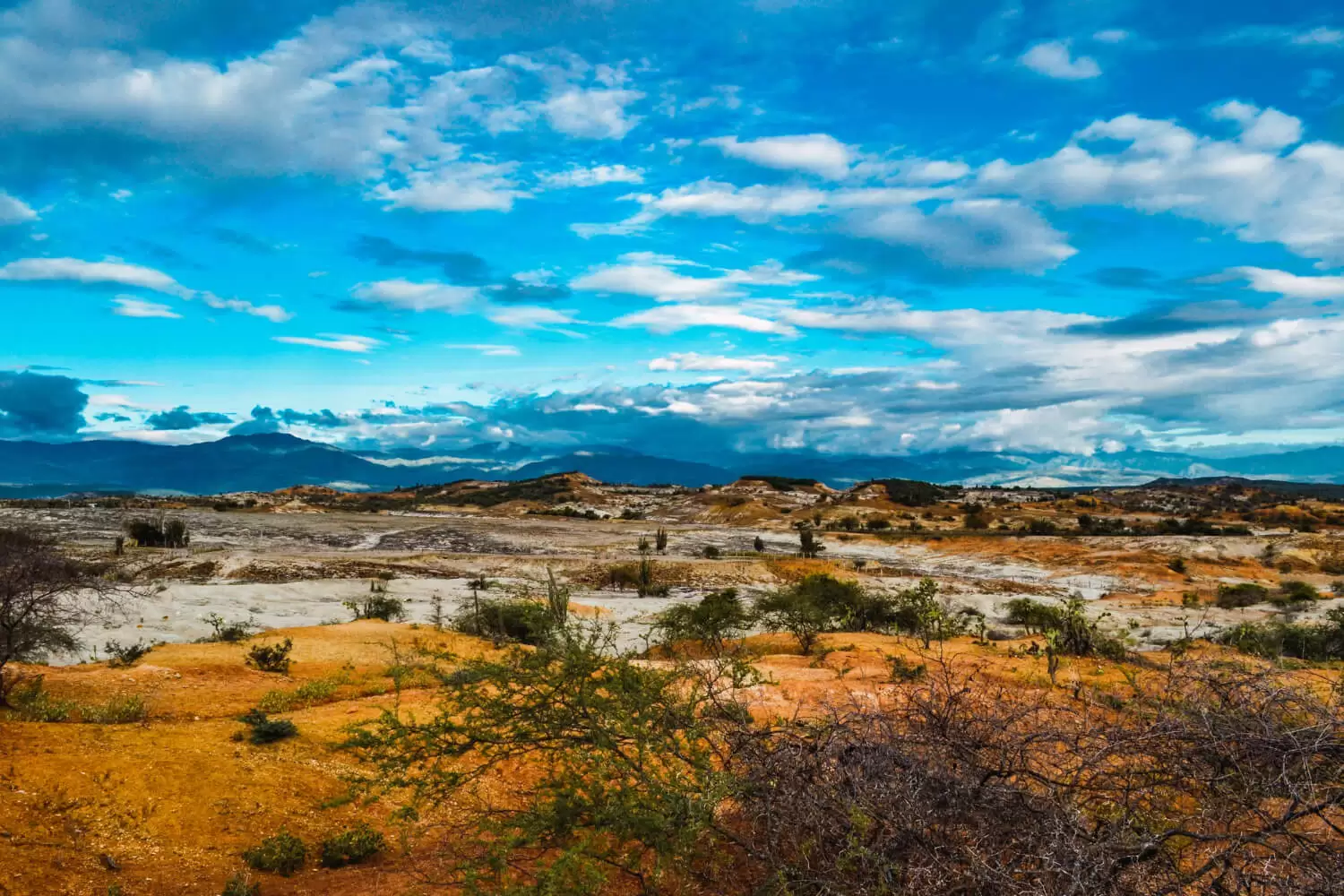 Explorando as Belezas Naturais da Patagônia